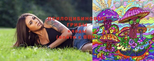 Альфа ПВП Алексин