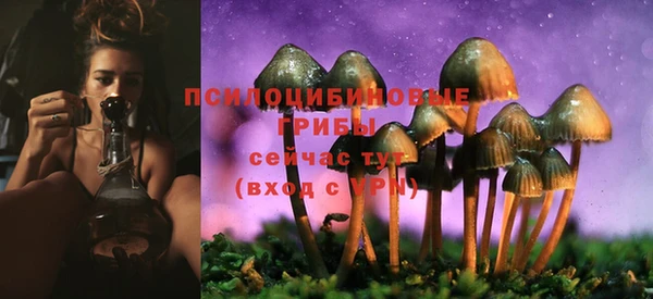 сатива Алексеевка